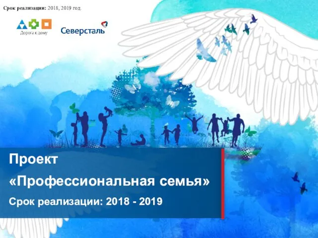 Срок реализации: 2018, 2019 год.