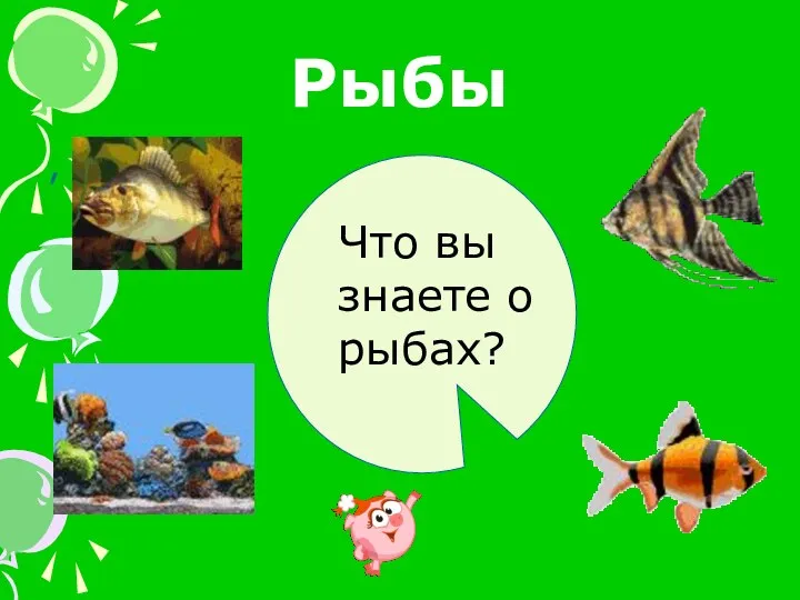 Рыбы , Что вы знаете о рыбах?