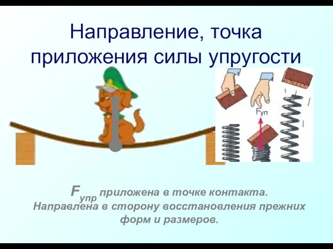 Направление, точка приложения силы упругости Fупр приложена в точке контакта.