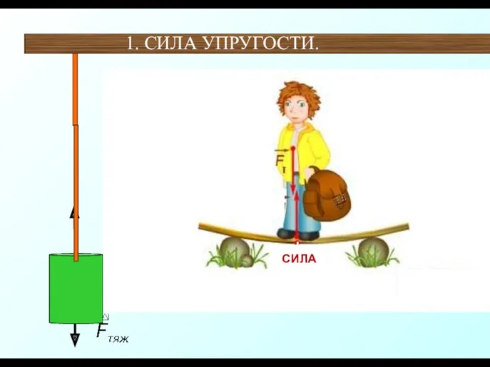 1. СИЛА УПРУГОСТИ.