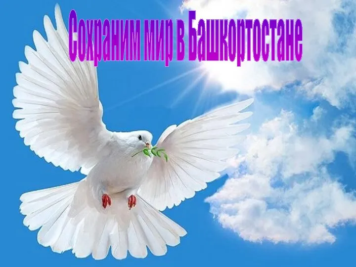 Сохраним мир в Башкортостане
