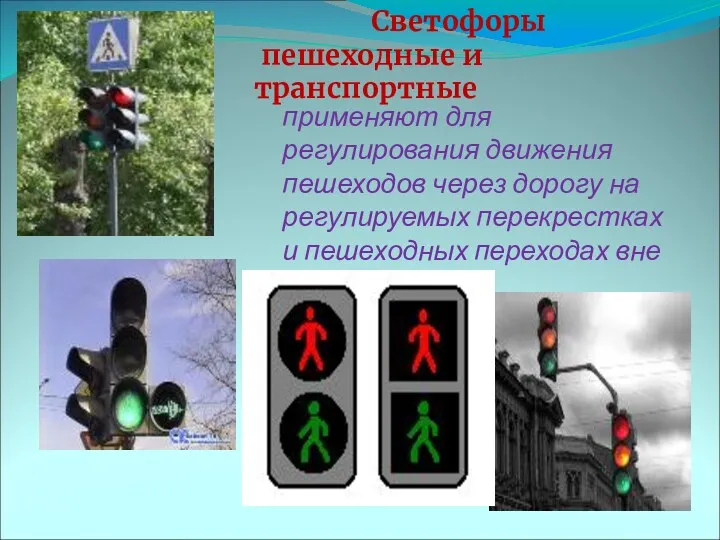Светофоры пешеходные и транспортные применяют для регулирования движения пешеходов через дорогу на регулируемых