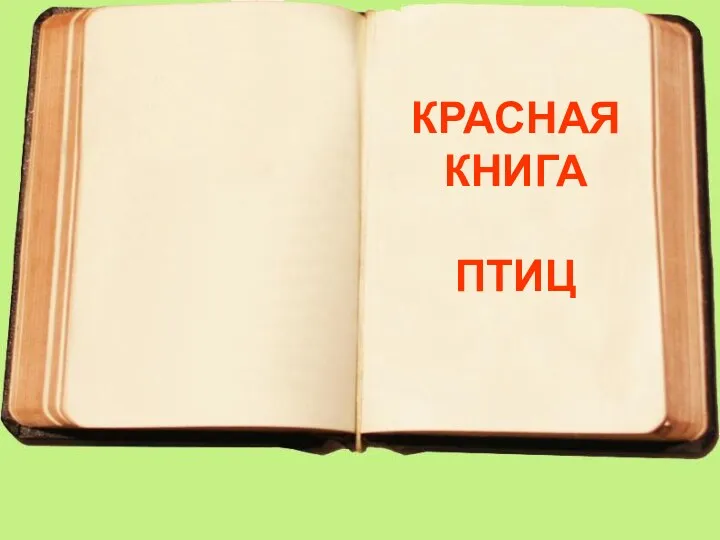 КРАСНАЯ КНИГА ПТИЦ