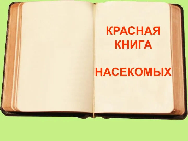 КРАСНАЯ КНИГА НАСЕКОМЫХ