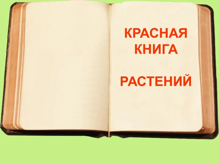 КРАСНАЯ КНИГА РАСТЕНИЙ