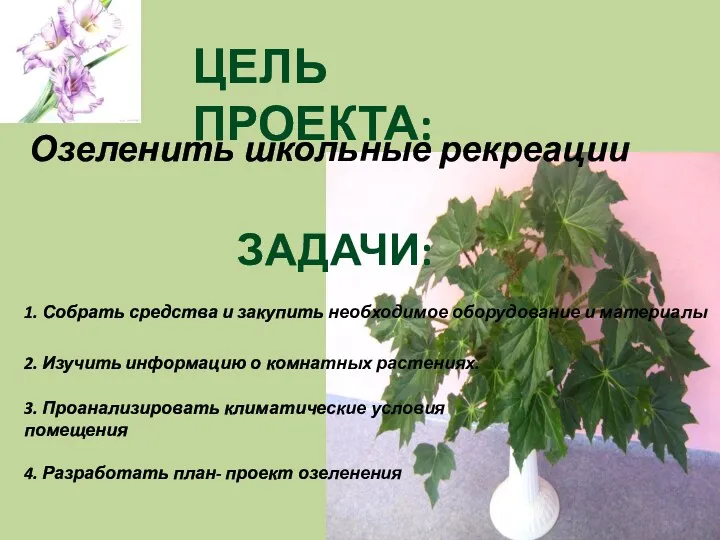 ЦЕЛЬ ПРОЕКТА: Озеленить школьные рекреации ЗАДАЧИ: 1. Собрать средства и