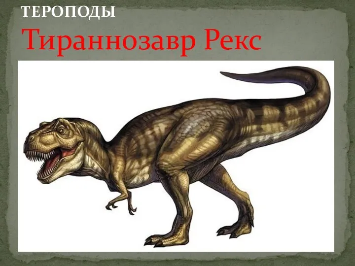ТЕРОПОДЫ Тираннозавр Рекс