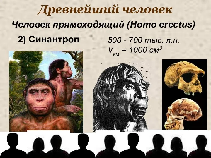 Древнейший человек 500 - 700 тыс. л.н. Vгм = 1000