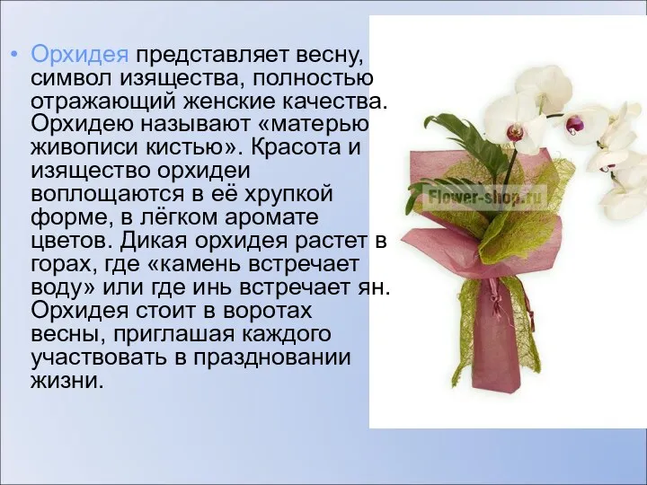 Орхидея представляет весну, символ изящества, полностью отражающий женские качества. Орхидею