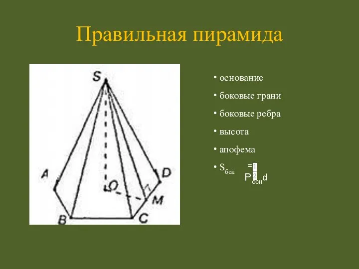 основание боковые грани боковые ребра высота апофема Sбок Правильная пирамида = Роснd