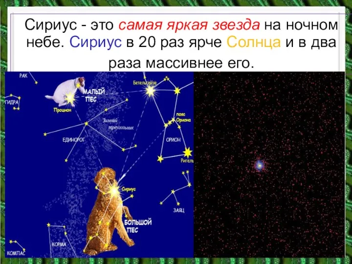 Сириус - это самая яркая звезда на ночном небе. Сириус в 20 раз