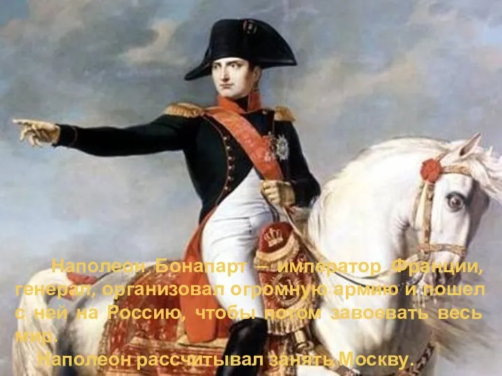 Наполеон Бонапарт – император Франции, генерал, организовал огромную армию и пошел с ней