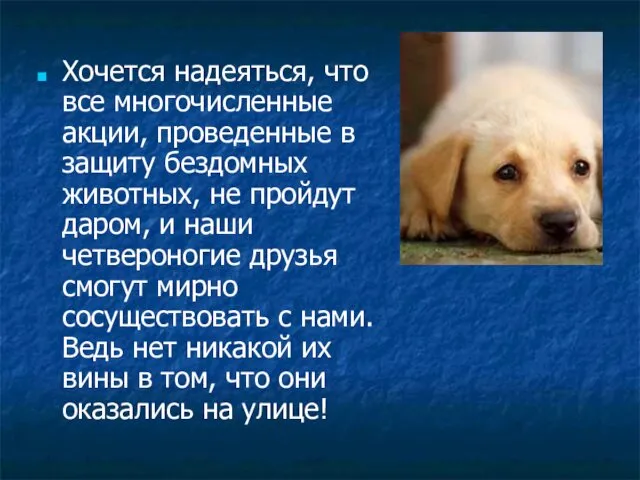 Хочется надеяться, что все многочисленные акции, проведенные в защиту бездомных