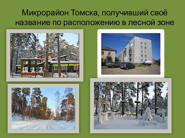 Микрорайон Томска, получивший своё название по расположению в лесной зоне