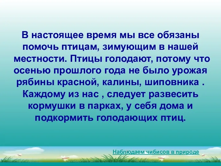 В настоящее время мы все обязаны помочь птицам, зимующим в