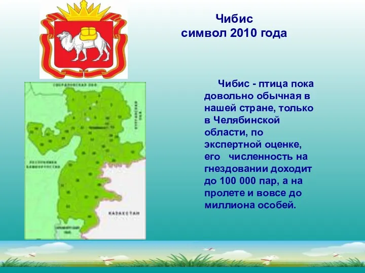 Чибис символ 2010 года Чибис - птица пока довольно обычная