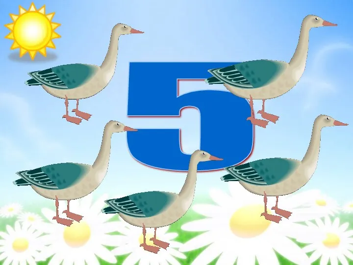 5