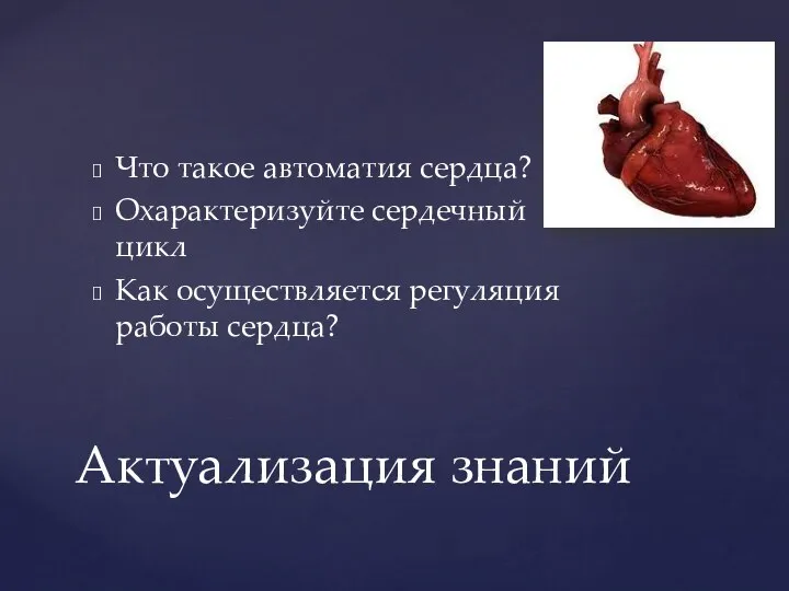 Что такое автоматия сердца? Охарактеризуйте сердечный цикл Как осуществляется регуляция работы сердца? Актуализация знаний