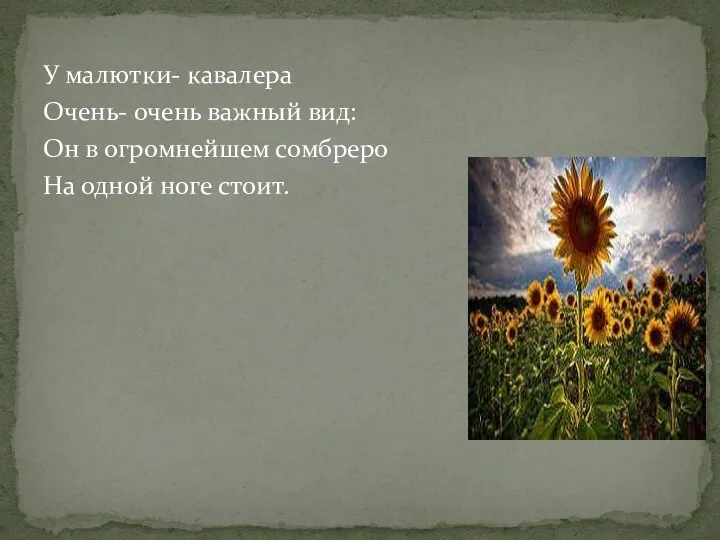 У малютки- кавалера Очень- очень важный вид: Он в огромнейшем сомбреро На одной ноге стоит.