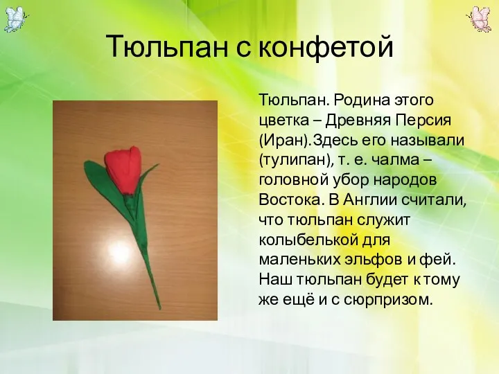 Тюльпан с конфетой Тюльпан. Родина этого цветка – Древняя Персия