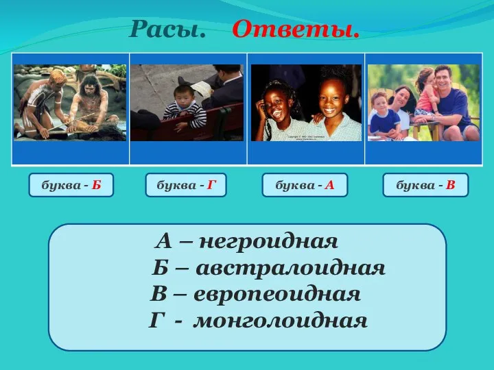 А – негроидная Б – австралоидная В – европеоидная Г - монголоидная буква