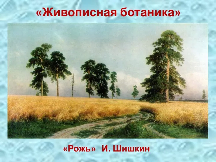 «Живописная ботаника» «Рожь» И. Шишкин