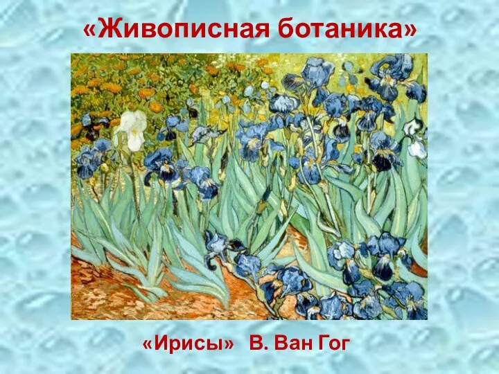 «Живописная ботаника» «Ирисы» В. Ван Гог