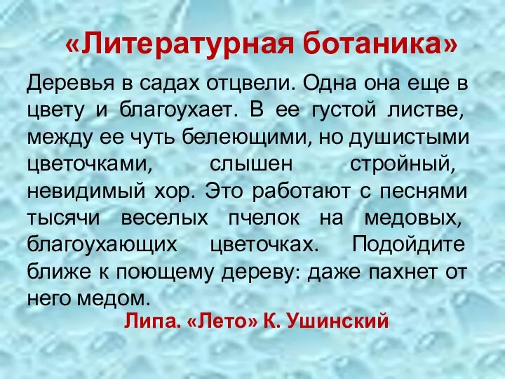 Деревья в садах отцвели. Одна она еще в цвету и