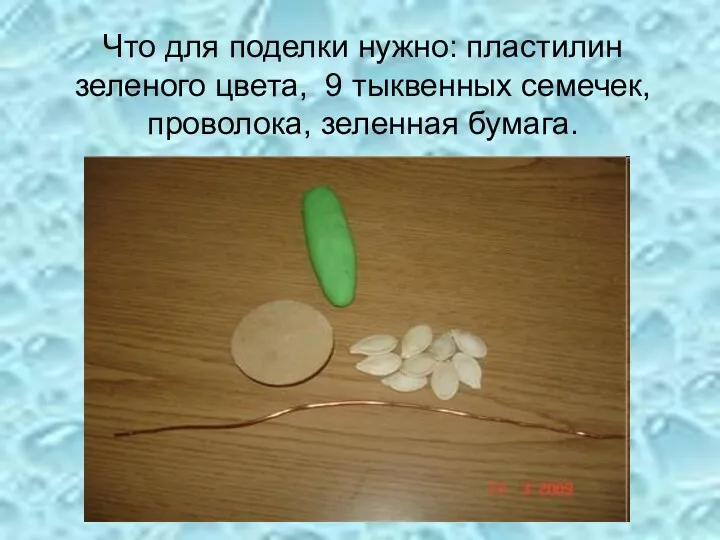 Что для поделки нужно: пластилин зеленого цвета, 9 тыквенных семечек, проволока, зеленная бумага.