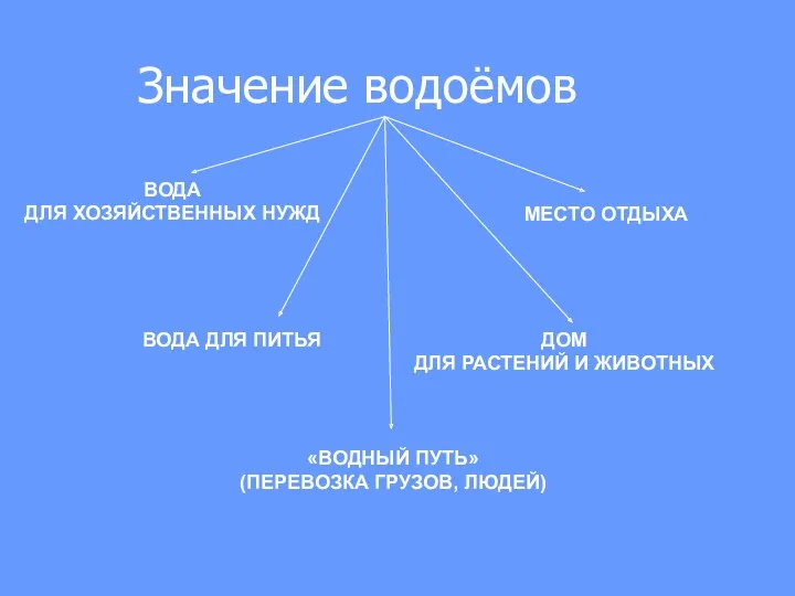 Значение водоёмов ДОМ ДЛЯ РАСТЕНИЙ И ЖИВОТНЫХ МЕСТО ОТДЫХА ВОДА