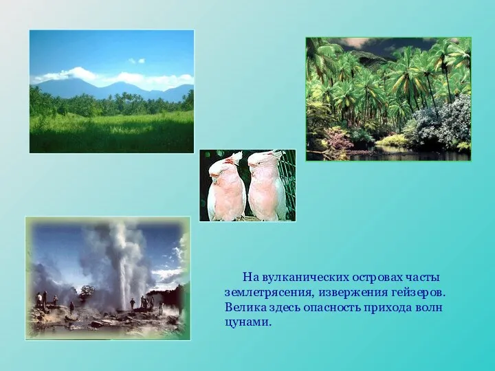 На вулканических островах часты землетрясения, извержения гейзеров. Велика здесь опасность прихода волн цунами.