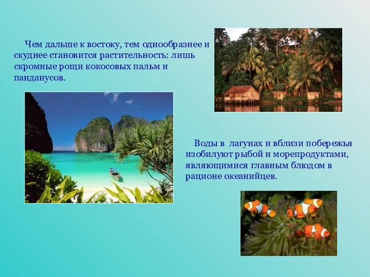 Чем дальше к востоку, тем однообразнее и скуднее становится растительность: