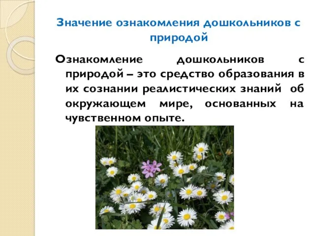 Значение ознакомления дошкольников с природой Ознакомление дошкольников с природой –