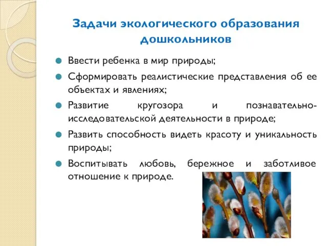 Задачи экологического образования дошкольников Ввести ребенка в мир природы; Сформировать