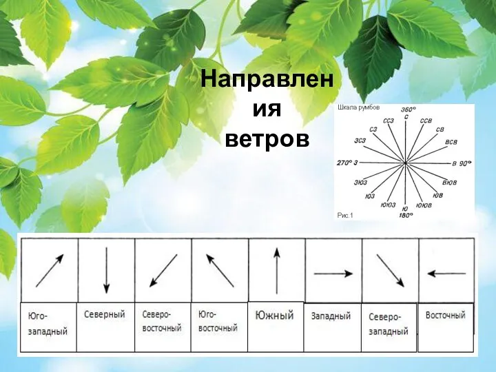 Направления ветров