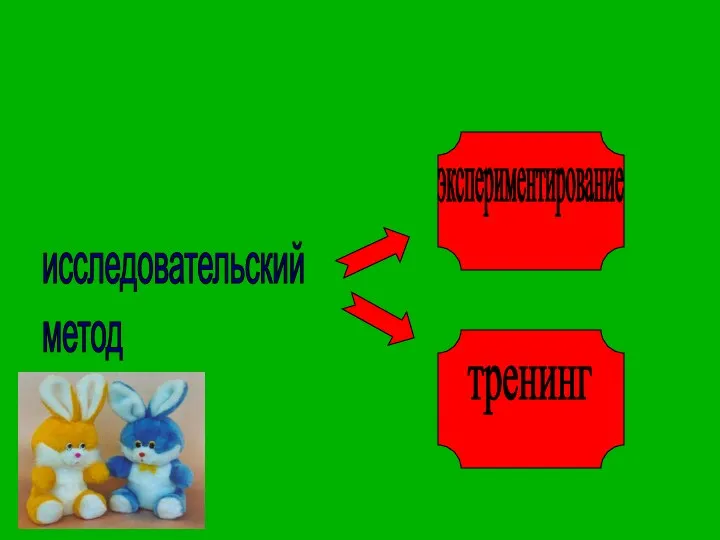 исследовательский метод экспериментирование тренинг