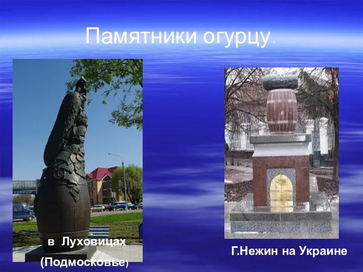 Памятники огурцу. Г.Нежин на Украине в Луховицах (Подмосковье)