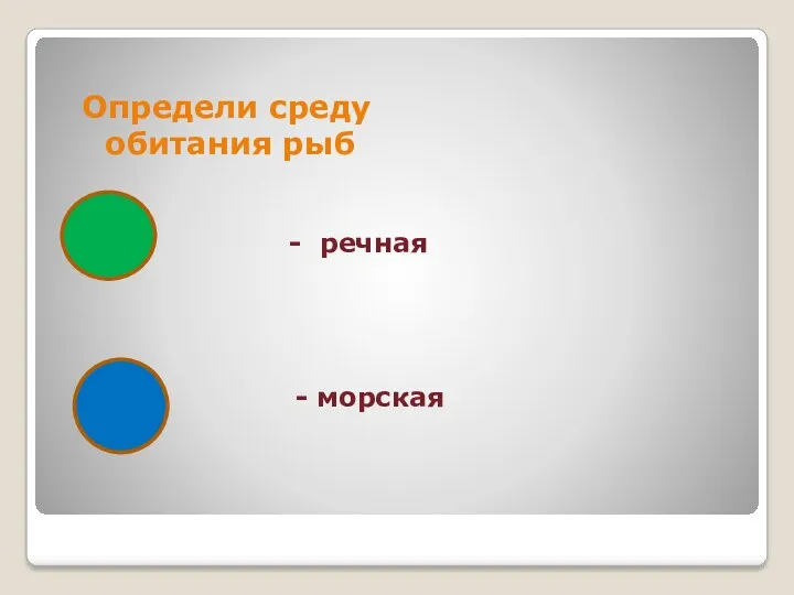 Определи среду обитания рыб - речная - морская