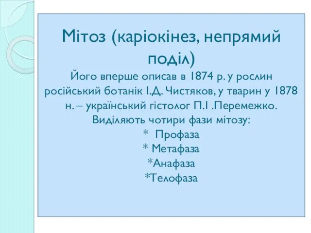 Мітоз (каріокінез, непрямий поділ) Його вперше описав в 1874 р.