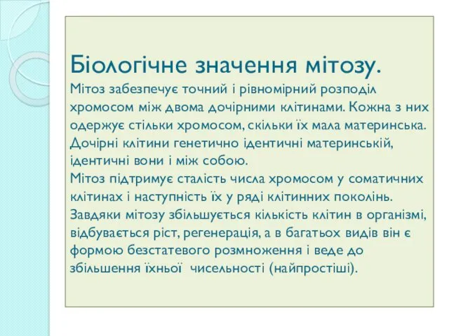 Біологічне значення мітозу. Мітоз забезпечує точний і рівномірний розподіл хромосом