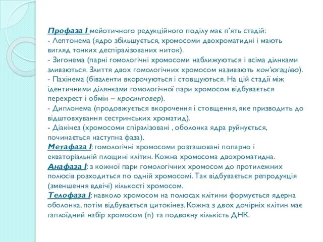 Профаза I мейотичного редукційного поділу має п’ять стадій: - Лептонема