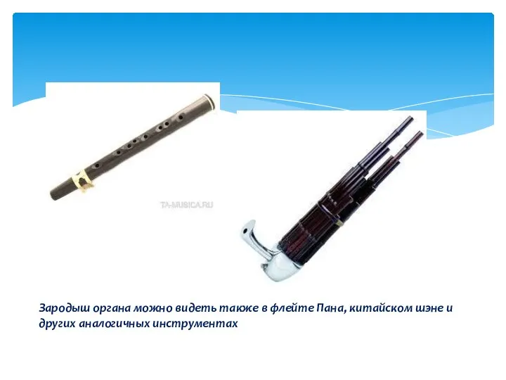 Зародыш органа можно видеть также в флейте Пана, китайском шэне и других аналогичных инструментах