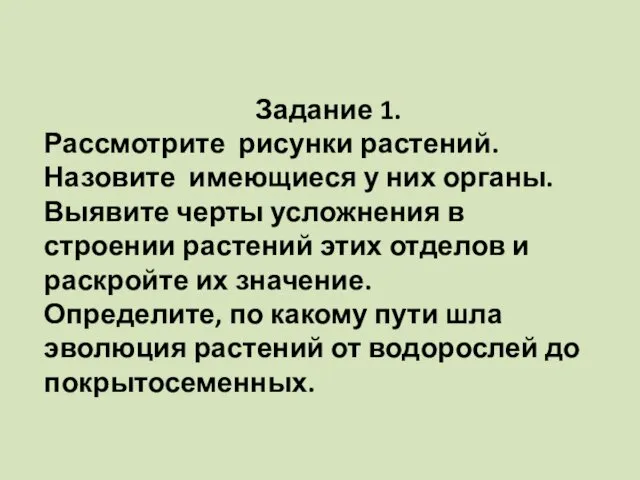 Задание 1. Рассмотрите рисунки растений. Назовите имеющиеся у них органы.