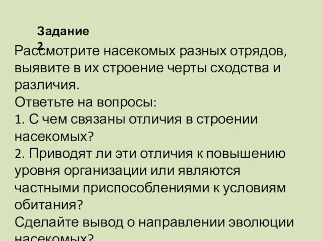 Рассмотрите насекомых разных отрядов, выявите в их строение черты сходства