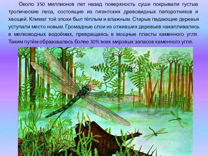 Около 350 миллионов лет назад поверхность суши покрывали густые тропические