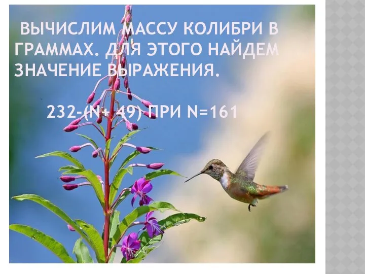 Вычислим массу колибри в граммах. Для этого найдем значение выражения. 232-(n+ 49) при n=161