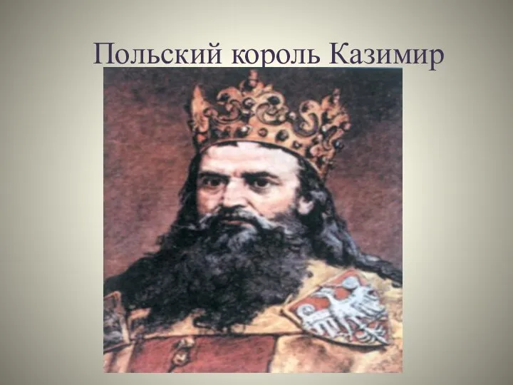 Польский король Казимир