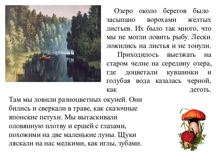 Озеро около берегов было засыпано ворохами желтых листьев. Их было так много, что