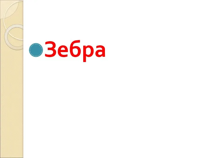 Зебра