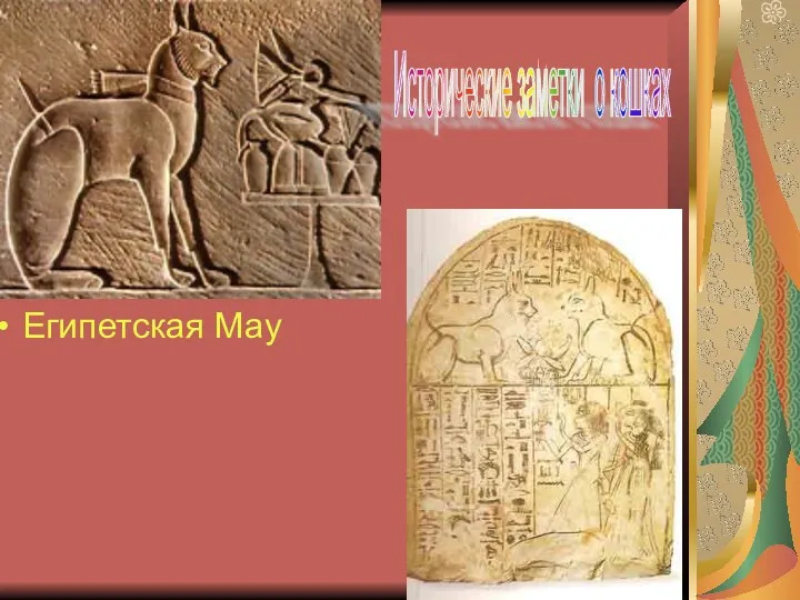 Египетская Мау Исторические заметки о кошках
